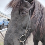 IMG_20250907_112942049_HDR (1).jpg